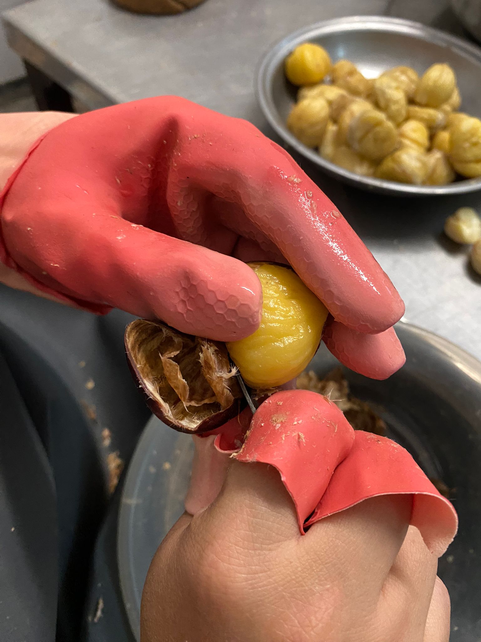 yücelergörseller (4)